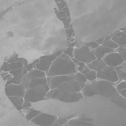 Brilliant Sky Part II