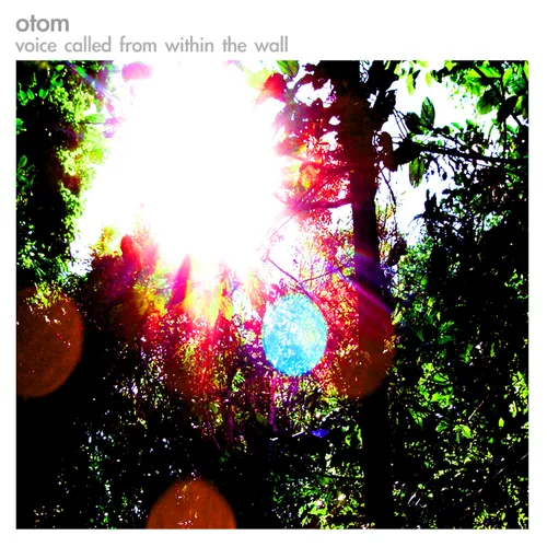 Voice Called from Within the Wall